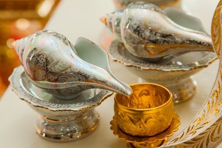 Conch shell is item at weddingの写真素材