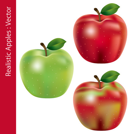 Realistic Apples Setのイラスト素材