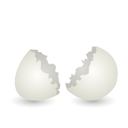 Eggshell のイラスト素材