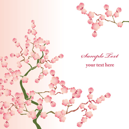 Cherry blossoms. Illustration vector.のイラスト素材