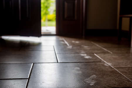 Track of small child footprints visible on a tile floor with an open door letting in light in the backgroundの写真素材