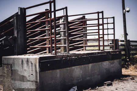 Metal elevated cattle chute in the rural Midwestの写真素材