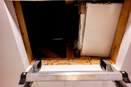 ladder resting against the opening to a residential atticの写真素材
