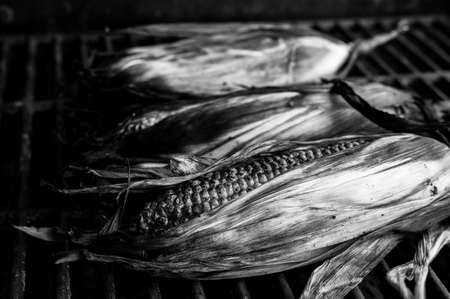 slightly charred sweet corn on the cob with husk on resting on a grill grateの写真素材