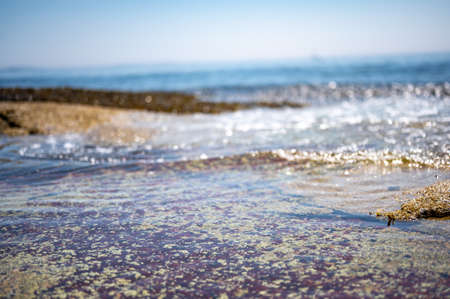 Tide refreshing pools at the oceanfront of Wonderland Trail Acadia National Parkの写真素材