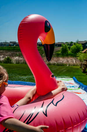 Child going down a waterslide in a flamingo tube