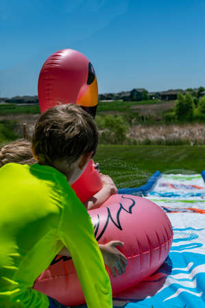 Child going down a waterslide in a flamingo tube