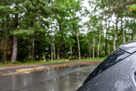 Rainy day in a park forest with the back end of a parked vehicle collecting droplets.の写真素材