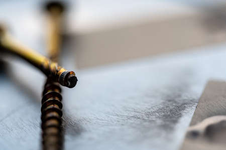 Screw with sheared threading after stress failure next to an intact exampleの写真素材