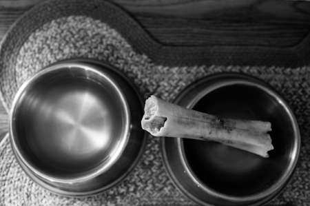Overhead view of a dog chew bone in metal bowl.