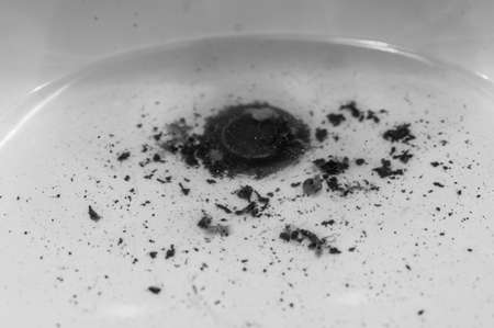 Hair and scum in a pool of stagnant standing water that indicates the sink is plugged.の写真素材
