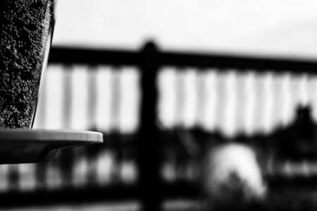 Selective focus on bird feeder with mix of seeds. Residential wooden porch in blurred background.の写真素材