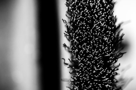 Macro selective focus on the bristle ends of a wire brush wheel on a grinder.の写真素材