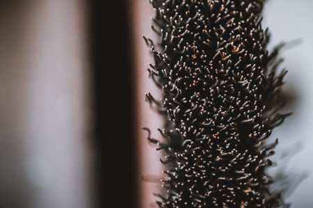 Macro selective focus on the bristle ends of a wire brush wheel on a grinder.の写真素材