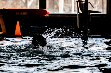 Youth swimming lesson in indoor pool. Swimmers backlit and silhouette with light reflecting off of water surface.の写真素材