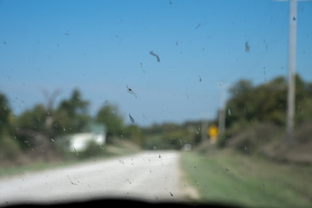 selective focus on bug splatter on a vehicle windshieldの写真素材