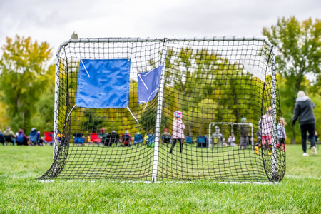 Selective focus on grass and back of goal net in a youth soccer match.の写真素材