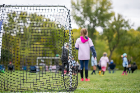 Selective focus on grass and back of goal net in a youth soccer match.の写真素材