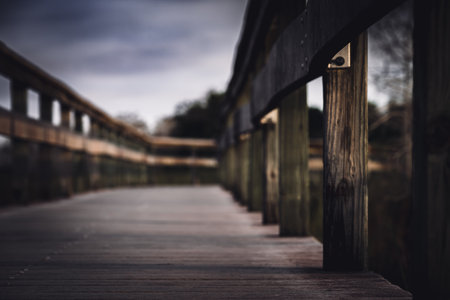 Boardwalk to the Pa-Hay-Okee Lookout Tower in the Everglades National Park