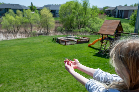 Child releasing a painted lady butterfly to nature outdoors.の写真素材
