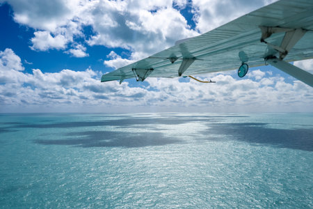 Seaplane view of Fort Jefferson at Dry Tortugas National Park