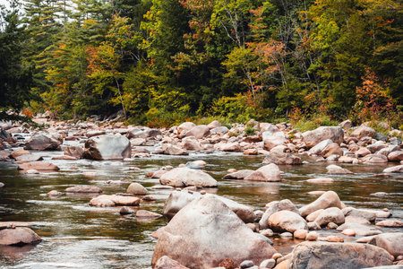 Rocky section of the Swift River in White Mountain National Forest on Kancamagus Highwayの写真素材