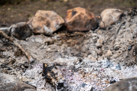 Ashes and charred wood inside a rock lined fire pitの写真素材