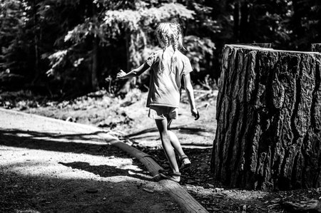 Young girl balancing on a log while hiking on a path in the woods.の写真素材