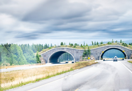 Wildlife overpass over a divided highway in Banff Canadaの写真素材