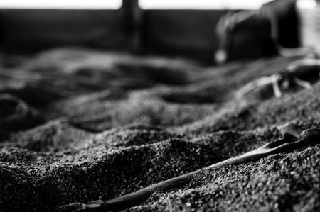 Child brushing away sand at a dinosaur fossil dig exhibit.