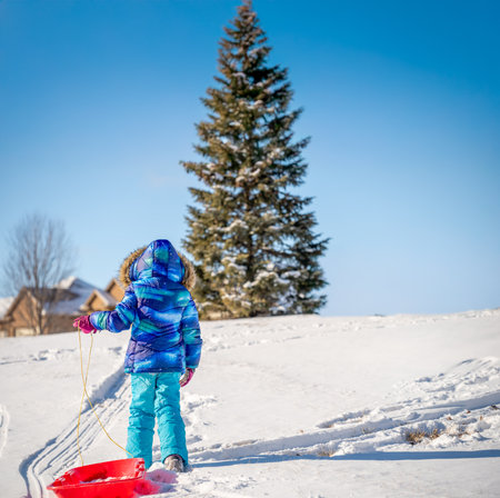 Girl in winter clothing walking a sled up a snow covered hill.の写真素材