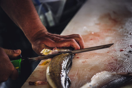 Hand holding an electric fillet knife to descale a walleye fish