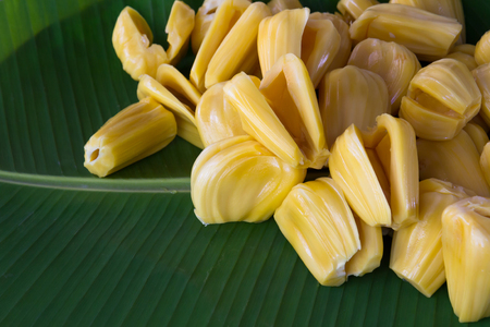 fresh jackfruit on green banana leaf, tropical Thailand fruit