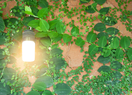 Inspiration environment concept light bulb metaphor for good idea and environmental conservation.の写真素材