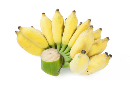 cultivated banana isolated on whiteの写真素材
