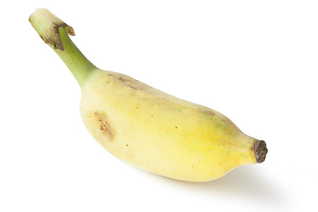 cultivated banana isolated on whiteの写真素材