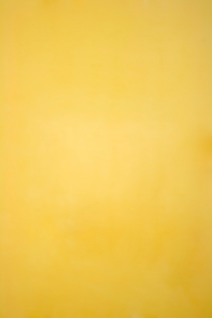 yellow backgroundの写真素材