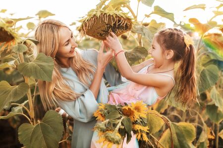 Mom and daughter are cleaning large ripe sunflowerの写真素材