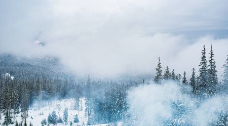View of the high snow-capped mountainsの写真素材