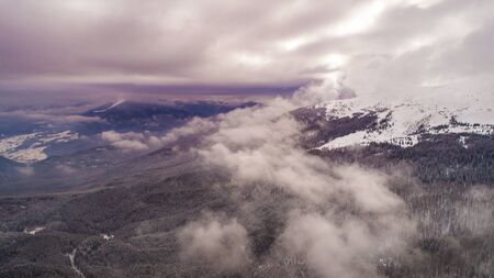 Aerial view beautiful magical clouds float on the backdrop of a dense fir forest growing on the...