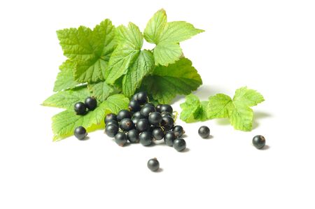 Fresh black currant isolated on white backgroundの写真素材
