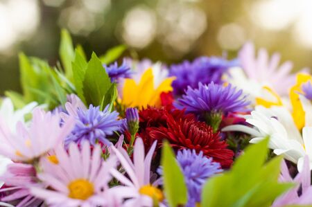 An abundance of diverse beautiful blooming flowers in one summer bouquet.の写真素材