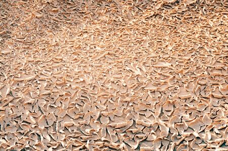Natural texture and mud pattern. Dirt sand or mud, retro tone, grunge tone
