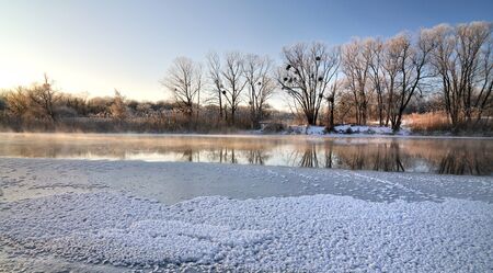 Amazing panorama of deciduous trees growing on the banks of the river on a spring sunny day. The concept of the onset of spring and the thaw. Advertising spaceの写真素材