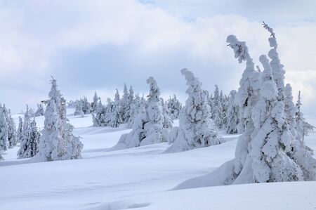 Beautiful picturesque winter slope with funiculars is located in a ski resort among mountains and trees on a cloudy winter day. The concept of rest in the country. Copyspaceの写真素材