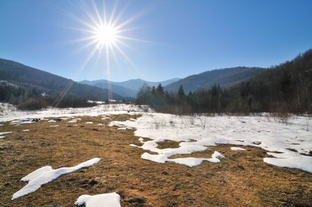 Forest glade surrounded by coniferous forest on a sunny spring day. Melting snow, clear blue skyの写真素材