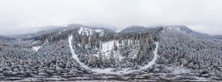 Stunning ski panorama of white snowy cliffs with trees covered in dense fog on a cold winter...