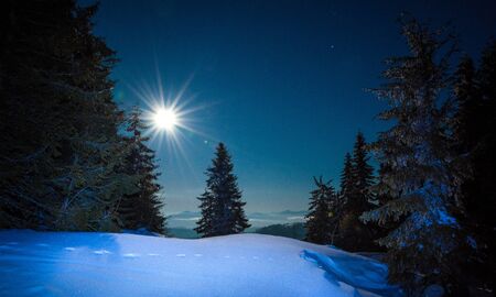 Beautiful slender fir trees grow among snow-covered snowdrifts on a hillside against a background of blue sky and bright moon on a frosty winter night. Concept of resting outside the city in winterの写真素材