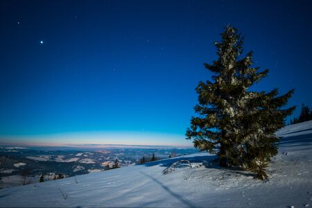 Bewitching magical landscape of snowy tall fir trees growing among snowdrifts on the hills against a blue starry night sky. Concept of a beautiful night forest. Copyspaceの写真素材