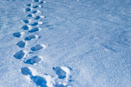 Footprints of an unidentified man in the snow on a sunny frosty winter day. Concept Pioneers and...
